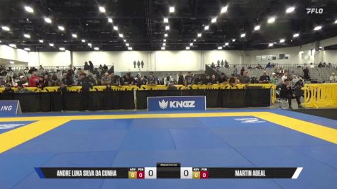 Martin Abeal vs Andre Luka Silva Da Cunha 2025 World IBJJF Jiu-Jitsu No-Gi Championship