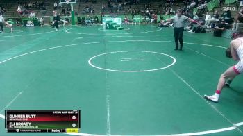 126 lbs 1st Place Match - Eli Broady, Mt. Vernon (Fortville) vs Gunner Butt, New Palestine