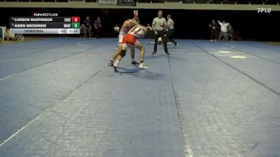 165 lbs Semifinal - Aiden Brosinski, Wartburg vs Carson Martinson, Central