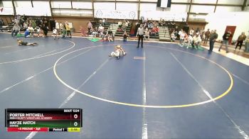 55 lbs Quarterfinal - Porter Mitchell, Iron County Wrestling Academy vs Hayze Hatch, Empire