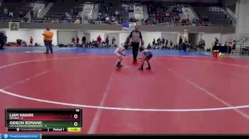 45 lbs Finals (8 Team) - Gideon Romano, LSH (LeSueur/Henderson) vs Liam Hanan, Becker