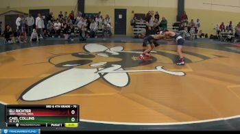 75 lbs Cons. Round 4 - Eli Richter, West Central Area vs Cael Collins, DC Elite