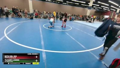 114 lbs Cons. Round 3 - Seth Del Rio, Spartan Mat Club vs Tucker Lundin, 3F Wrestling