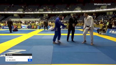 FELIPE PENA vs GUILHERME WILSON 2021 World Jiu-Jitsu IBJJF Championship