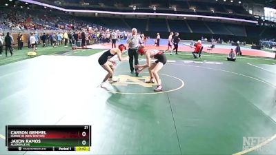 D2-113 lbs 7th Place Match - Jaxon Ramos, Allendale HS vs Carson Gemmel, Huron HS (New Boston)