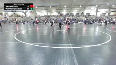 73 lbs Round 2 - Ava Westenbarger, Blackman Wrestling Club vs Aria Morrison, Warefare Wrestling