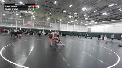 165 lbs Quarterfinal - Cayden Strong, Grand Valley State vs Nolan Skebba, UW-Parkside