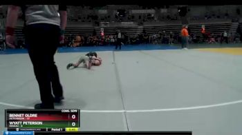 84 lbs Semis & 1st Wrestleback (8 Team) - Wyatt Peterson, Roseau vs Bennet Oldre, Hutchinson