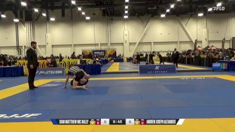 Andrew Joseph Alexander vs Sam Matthew Mc Nally 2024 World IBJJF Jiu-Jitsu No-Gi Championship