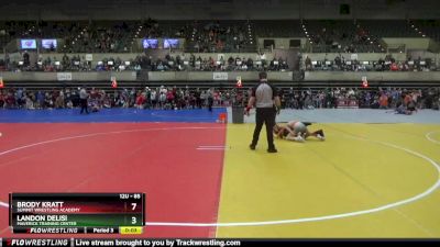 85 lbs Quarterfinal - Aaron Bartnick, Team Nazar vs Elias Nielsen, Summit Wrestling Academy