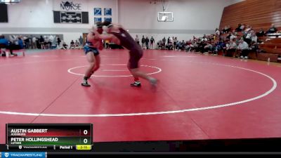 Elite 149 lbs Cons. Round 4 - Peter Hollingshead, Luther vs Austin Gabbert, Augsburg