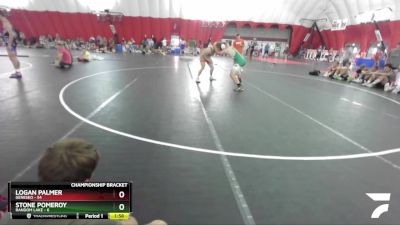 175 lbs Round 4 (16 Team) - Logan Palmer, Geneseo vs Stone Pomeroy, Random Lake