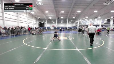 48 lbs Quarterfinal - Kole Delaney, Salem vs Joah Genao, New Milford