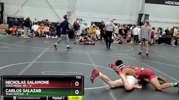113 lbs Round 5 (8 Team) - Carlos Salazar, Team Gotcha vs Nicholas Salamone, Gold Medal WC