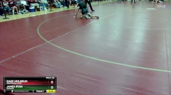 149 lbs Quarterfinal - Gage Heilbrun, Frostburg State vs James Ryan, Gannon