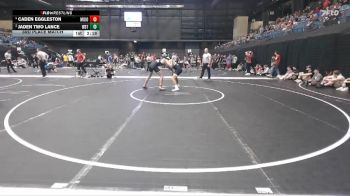 149 lbs 3rd Place Match - Jaden Two Lance, Wayland Baptist (Texas) vs Caden Eggleston, Morningside (Iowa)