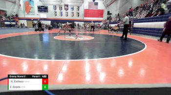 130 lbs Champ. Round 2 - Kira Cailteux, Minooka vs Emily Bopes, Geneseo