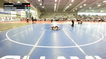 75 lbs Rr Rnd 1 - Alex Strobl, The Fort Hammers vs Brantley Green, Revival Orange