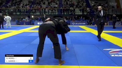 GREGORY MOREL vs LUKE HARRIS 2024 European Jiu-Jitsu IBJJF Championship