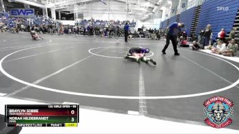 95 lbs Cons. Semi - Braylyn Sobbe, Team North Stars vs Norah Hildebrandt, Piper