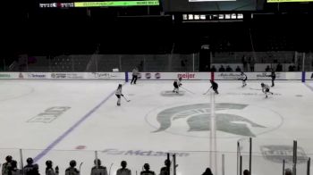 Replay: Home - 2025 Lawrence Tech vs Michigan State | Jan 26 @ 1 PM