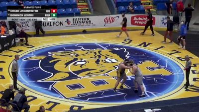 252 lbs Quarterfinal - Chase Lingenfelter, Hollidaysburg vs Dominick Lentini, Mount Carmel