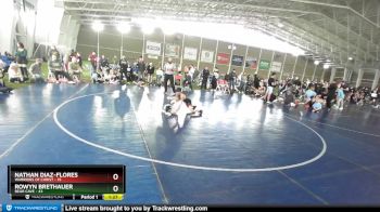 49 lbs Round 1 (4 Team) - Rowyn Brethauer, Bear Cave vs Nathan Diaz-Flores, Warriors Of Christ