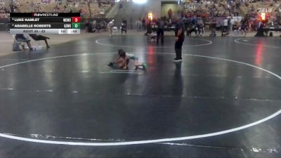45 lbs Semifinal - Luke Hamlet, Williamson Co Wrestling Club vs Arabelle Roberts, Ground Zero Wrestling Club