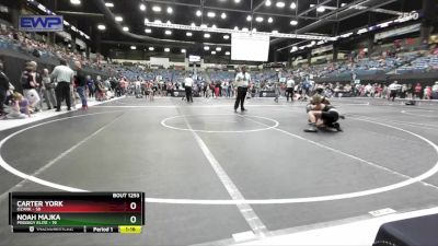 110 lbs Semifinal - Carter York, Ozark vs Noah Majka, Prodigy Elite