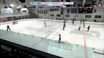 Replay: Home - 2024 Princeton U14 vs Bandits 14U (G) | Jan 20 @ 7 PM