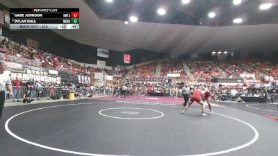 215 lbs 5th Place Match - Dylan Hall, McPherson HS vs Gabe Johnson, Hiawatha HS