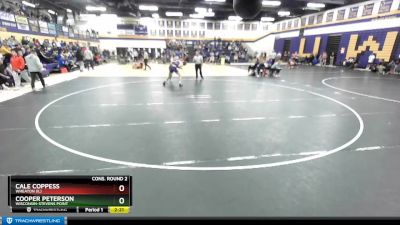 141 lbs Cons. Round 2 - Cooper Peterson, Wisconsin-Stevens Point vs Cale Coppess, Wheaton (IL)