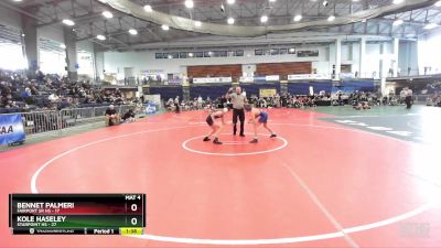 102 lbs Round 3 (3 Team) - Bennet Palmeri, Fairport Sr HS vs Kole Haseley, Starpoint HS