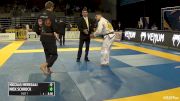 Nicholas Meregali vs Nick Shrock IBJJF 2016 Pan Brown Belt Heavyweight
