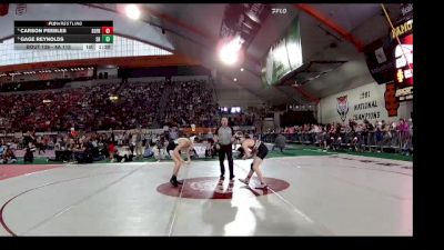 4A 113 lbs Quarterfinal - Gage Reynolds, Snake River vs Carson Peebles, South Fremont