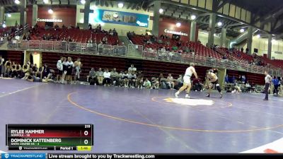 215 lbs Round 3 (4 Team) - Rylee Hammer, Norfolk vs Dominick Kattenberg, Smith Center HS