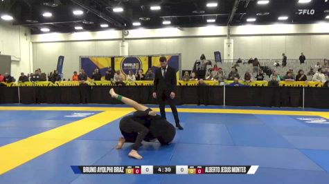 James Truong Long An vs Fabbio Passos De Alencar 2024 World IBJJF Jiu-Jitsu No-Gi Championship