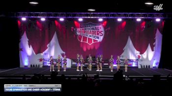 Texas Gymnastics and Cheer Academy - Titans [2025 L3 Junior - D2 - Small Day 1] 2025 NCA Holiday Classic