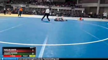 135 lbs Semis (4 Team) - Mason Hansen, Paynesville vs Kaylub White, Kasson-Mantorville