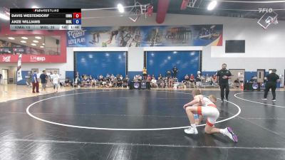 110 lbs Davis Westendorf, Iowa vs Anze Williams, Michigan Blue