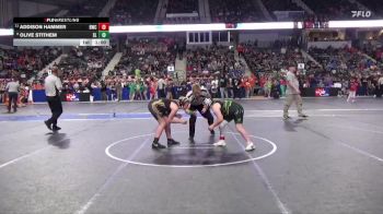 125 lbs Champ. Round 1 - Addison Hammer, Bobcat Wrestling Club vs Olive Stithem, Silver Lake