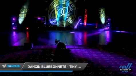 Dancin Bluebonnets - Tiny Prep Jazz [2020 Tiny - Prep - Jazz Day 1] 2020 Encore Championships: Houston DI & DII