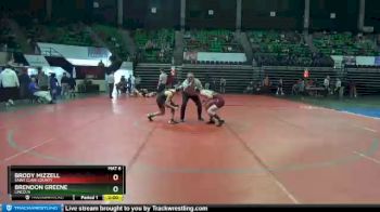 145 lbs Champ. Round 1 - Brendon Greene, Lincoln vs BRODY MIZZELL, Saint Clair County