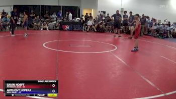 77 lbs 2nd Place Match (16 Team) - Gavin Hoeft, Minnesota Blue vs Anthony Lopera, New Jersey