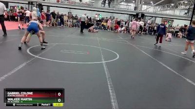 84 lbs Round 5 (6 Team) - Walker Martin, PA Alliance vs Gabriel Colone, Dueling Bandits