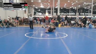 128 lbs Rr Rnd 4 - Nico DeRado, Scorpions - HSC vs Ethan Hauser, Prestige Worldwide Blue - HSC