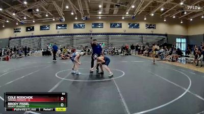 92 lbs Round 5 (8 Team) - Cole Rodichok, Virginia Patriots vs Brody Fissel, Legacy Dragons