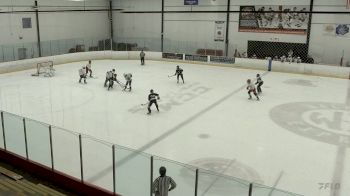 Replay: Home - 2024 Pure Perf. vs CT Coyotes | Jul 12 @ 1 PM