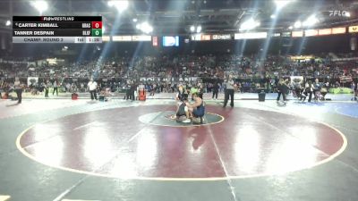 138 lbs Champ. Round 2 - Tanner Despain, Blackfoot vs Carter Kimball, Grace