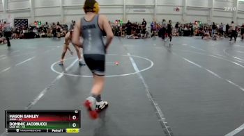 110 lbs Round 8 (10 Team) - Dominic Jacobucci, Lake WC vs Mason Ganley, SHWA